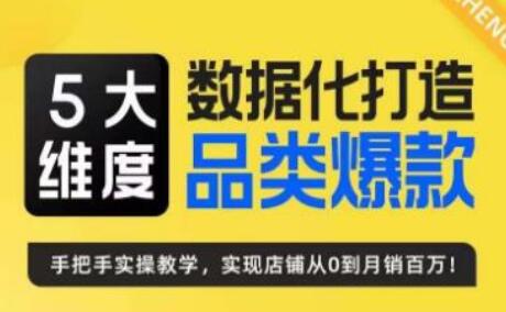 5大维度数据化打造电商品类爆款特训营-无双副业