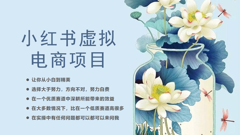 小红书虚拟电商从0到1，小白到精英的20节实操课程-无双副业