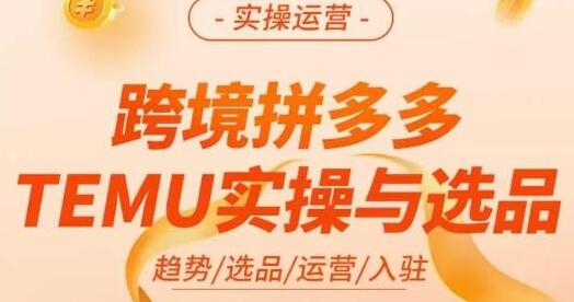 伍跃·跨境拼多多TEMU实操与选品全攻略-无双副业