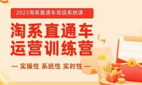 2023淘系直通车高级系统课：实操与体系教学-无双副业