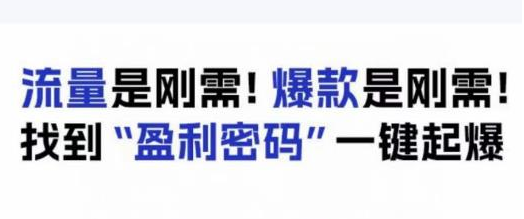 电商盈利精品课：6大盈利密码助产品热销，流量与爆款是关键-无双副业