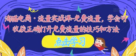 淘猫电商流量实战课：免费流量获取技巧与方法-无双副业