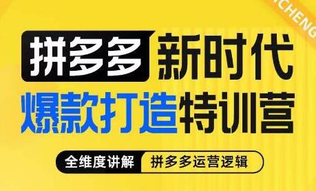玺承拼多多爆款打造特训营，全面解析运营逻辑与实操技巧-无双副业