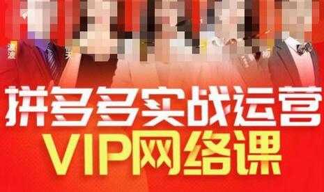 推易拼多多VIP直播课程：店铺实操与直通车高阶玩法-无双副业