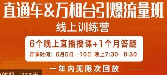 直通车与万相台流量引爆课程，6天掌握推广技巧-无双副业