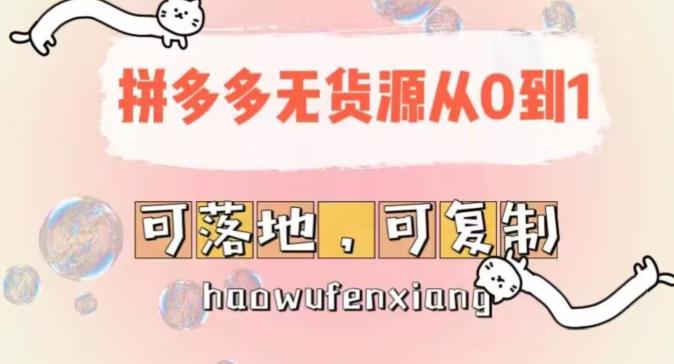 拼多多无货源开店从0到1，可落地可复制-无双副业