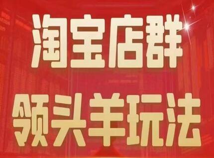 淘宝店群领头羊玩法全攻略，精细化运营与蓝海策略详解-无双副业