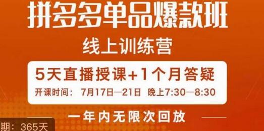 钟辰拼多多单品爆款班：打造超级爆款团队-无双副业
