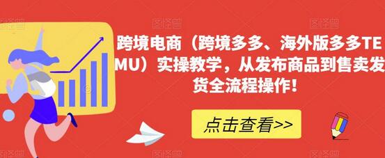 跨境电商TEMU实操教学：从发布商品到售卖发货全流程-无双副业