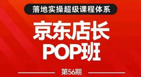 京东搜推与爆款打造技巧及广告高ROI投放策略-无双副业