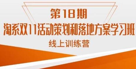 南掌柜淘系双11活动策划与落地方案线上课程-无双副业
