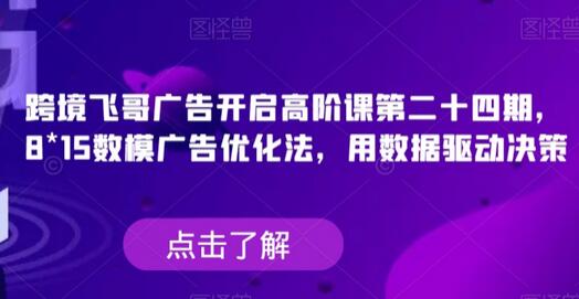跨境飞哥广告高阶课：8*15数模广告优化法，数据驱动决策-无双副业