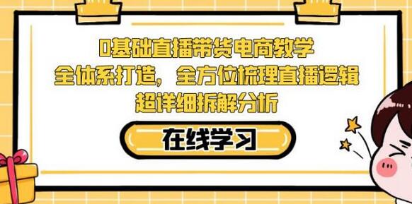 零基础直播带货电商教学，全方位解析直播逻辑与实操技巧-无双副业