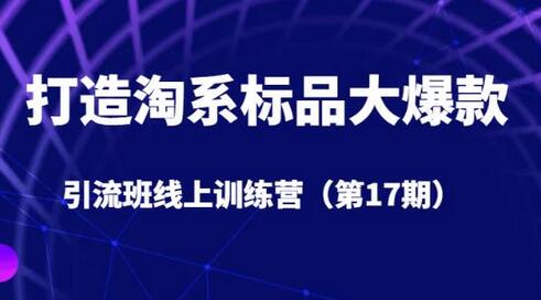 打造淘系标品大爆款引流班线上训练营5天直播授课-无双副业