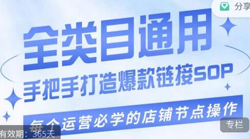 单品爆款从0到1实操运营全攻略-无双副业
