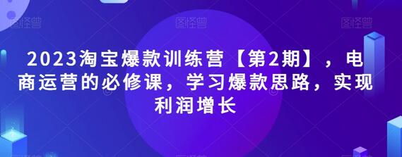 2023淘宝爆款训练营：电商运营必修课，掌握爆款思路实现利润增长-无双副业