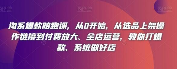 淘系爆款陪跑课：从选品到全店运营，系统打造爆款店铺-无双副业