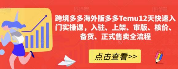 跨境多多Temu12天快速入门实操课，全流程指导入驻到售卖-无双副业