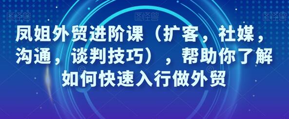 凤姐外贸进阶课：快速入行外贸的扩客与谈判技巧-无双副业