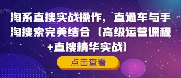 淘系直搜实战操作：直通车与手淘搜索结合的高级运营课程-无双副业