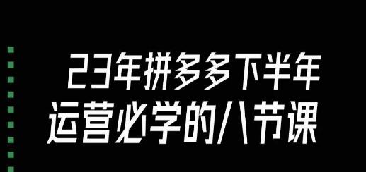 23年下半年拼多多运营必学的八节课完整指南-无双副业