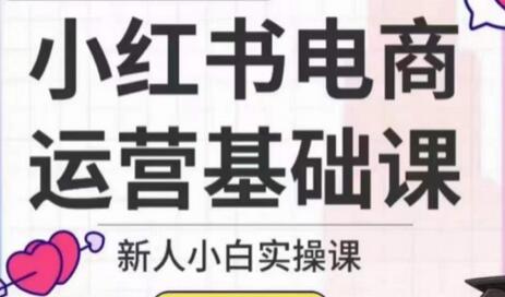 小红书电商运营实操课，新人快速入门指南-无双副业