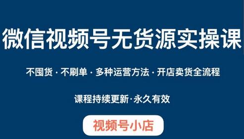 微信视频号小店无货源实操课程，开店卖货全流程解析-无双副业