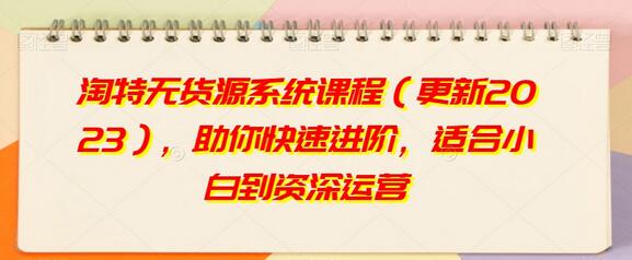 淘特无货源系统课程2023，快速进阶从新手到资深运营-无双副业