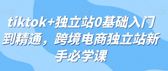 TikTok与独立站跨境电商新手入门到精通课程-无双副业