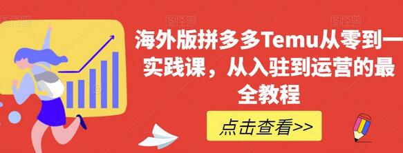 海外版拼多多Temu从入驻到运营的全流程教程-无双副业