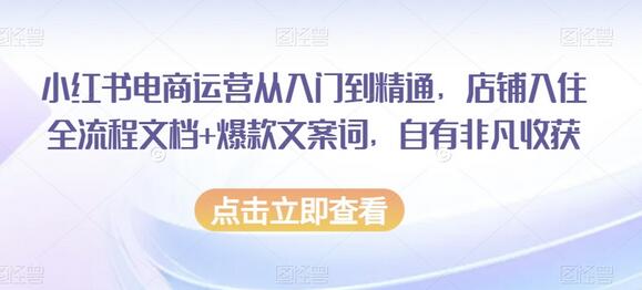 小红书电商运营全攻略：店铺入驻与爆款文案技巧-无双副业