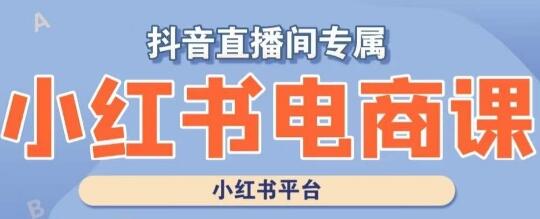 小红书电商高级运营课程：实操教学与案例分析-无双副业