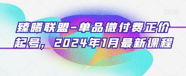 臻曦联盟2024年1月最新单品微付费正价起号课程-无双副业