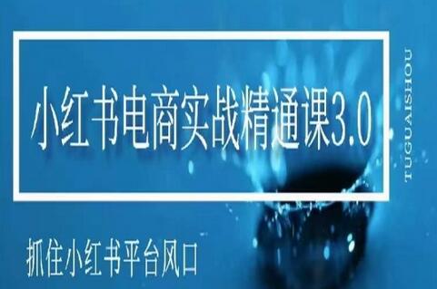 小红书电商实战精通课3.0，抓住平台风口，轻松赚钱-无双副业