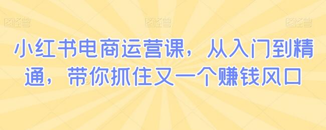 小红书电商运营课，从入门到精通，抓住赚钱风口-无双副业