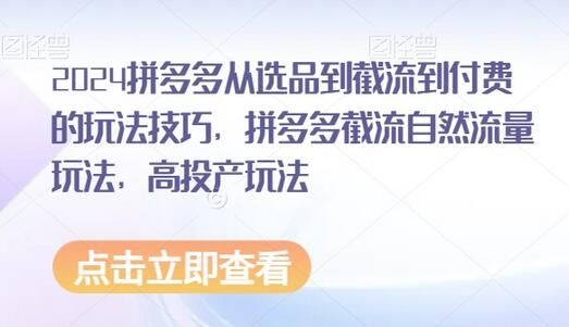 2024拼多多选品截流付费玩法与高投产技巧-无双副业