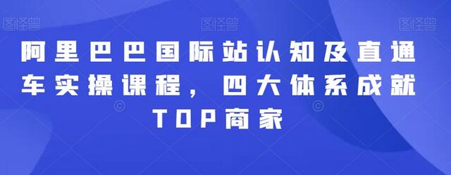 阿里巴巴国际站直通车实操课程，成就TOP商家的四大体系-无双副业