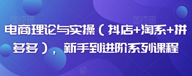 电商理论与实操：抖店、淘系、拼多多新手到进阶课程-无双副业