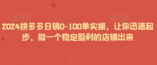 2024拼多多日销0-100单实操，快速打造稳定盈利店铺-无双副业