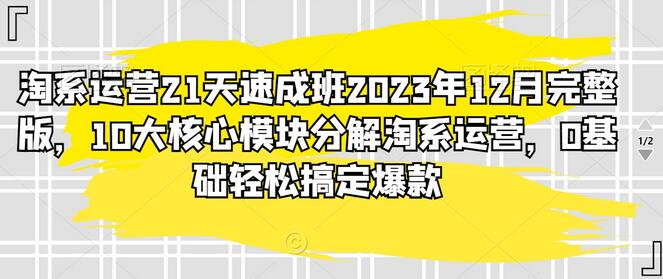 淘系运营21天速成班2023年12月完整版，10大核心模块解析-无双副业