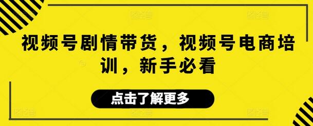 视频号剧情带货与电商培训，新手入门指南-无双副业