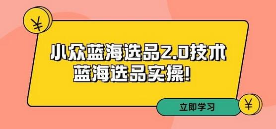 拼多多小众蓝海选品2.0技术实操指南-无双副业