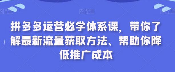 拼多多运营体系课：最新流量获取与推广成本降低方法-无双副业
