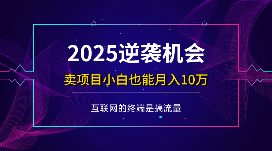 2025逆袭机会：小白也能轻松月入10万+的卖项目指南-无双副业