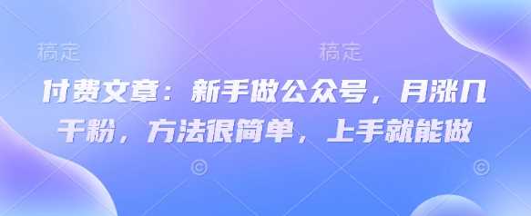 新手做公众号月涨几千粉的简单方法-无双副业