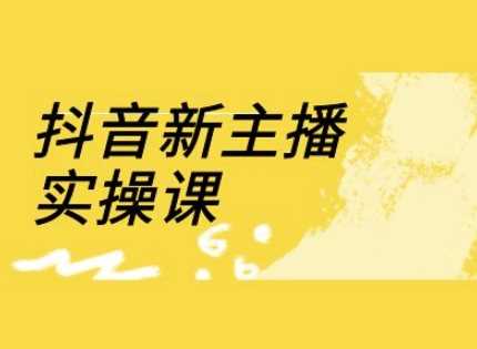 抖音新主播实操课：直播间流量运营线上课程-无双副业
