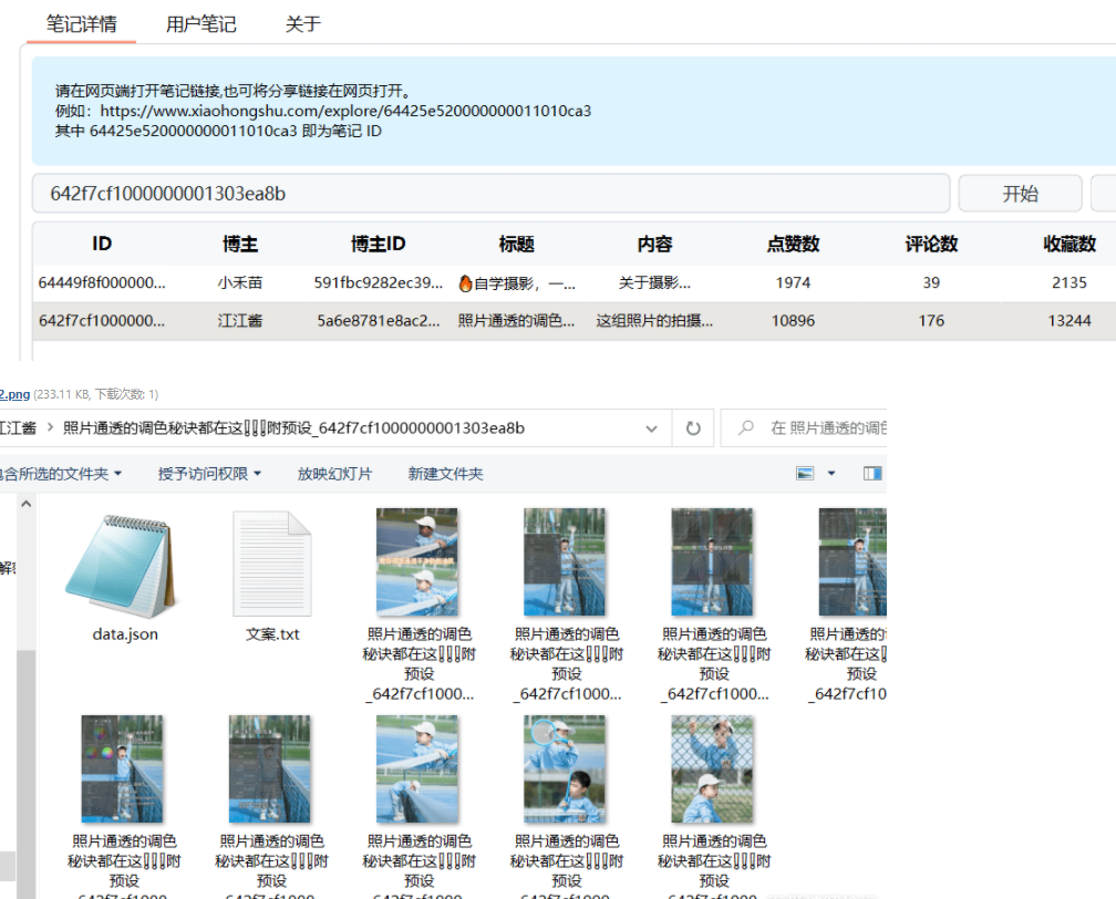 Windows端小红书批量下载工具ReaTool无水印下载笔记图片视频
