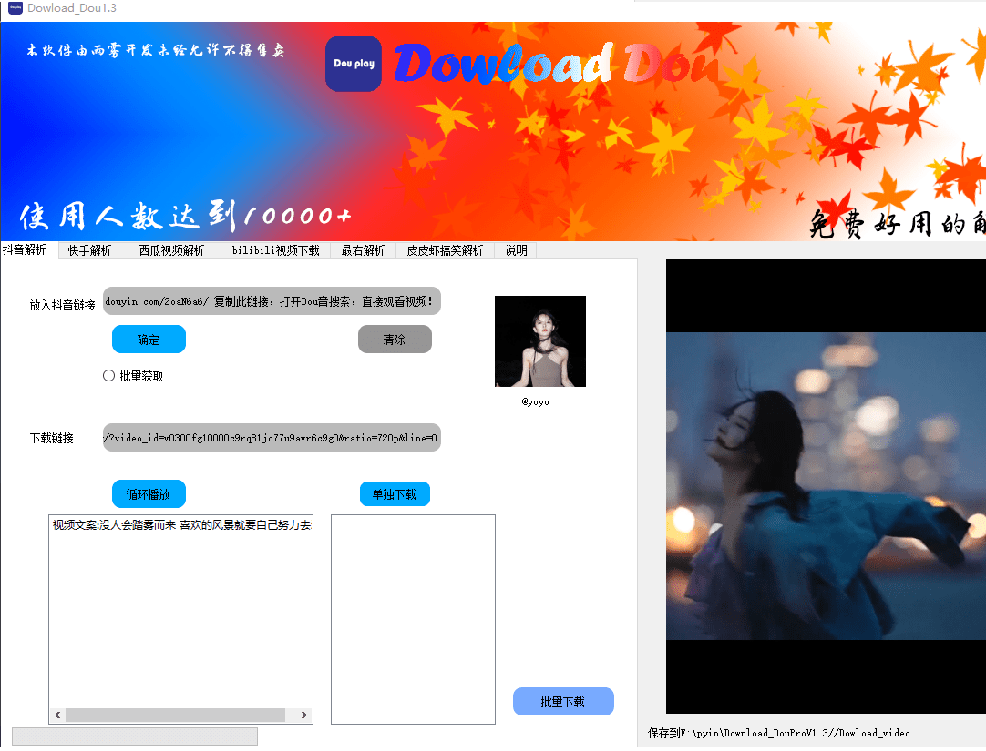 DouProV1.3去水印工具支持抖音快手B站等平台视频下载-无双副业