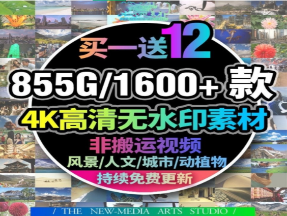 1600款4K高清无水印素材免费下载-无双副业