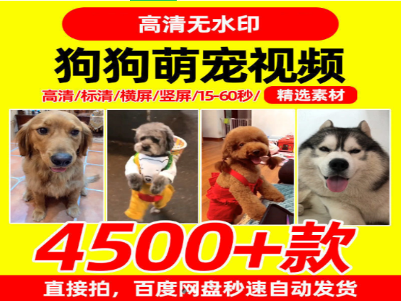 精选4500款狗狗萌宠视频合集-无双副业